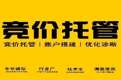 行业趋势下的SEM竞价代运营公司成功案例分析